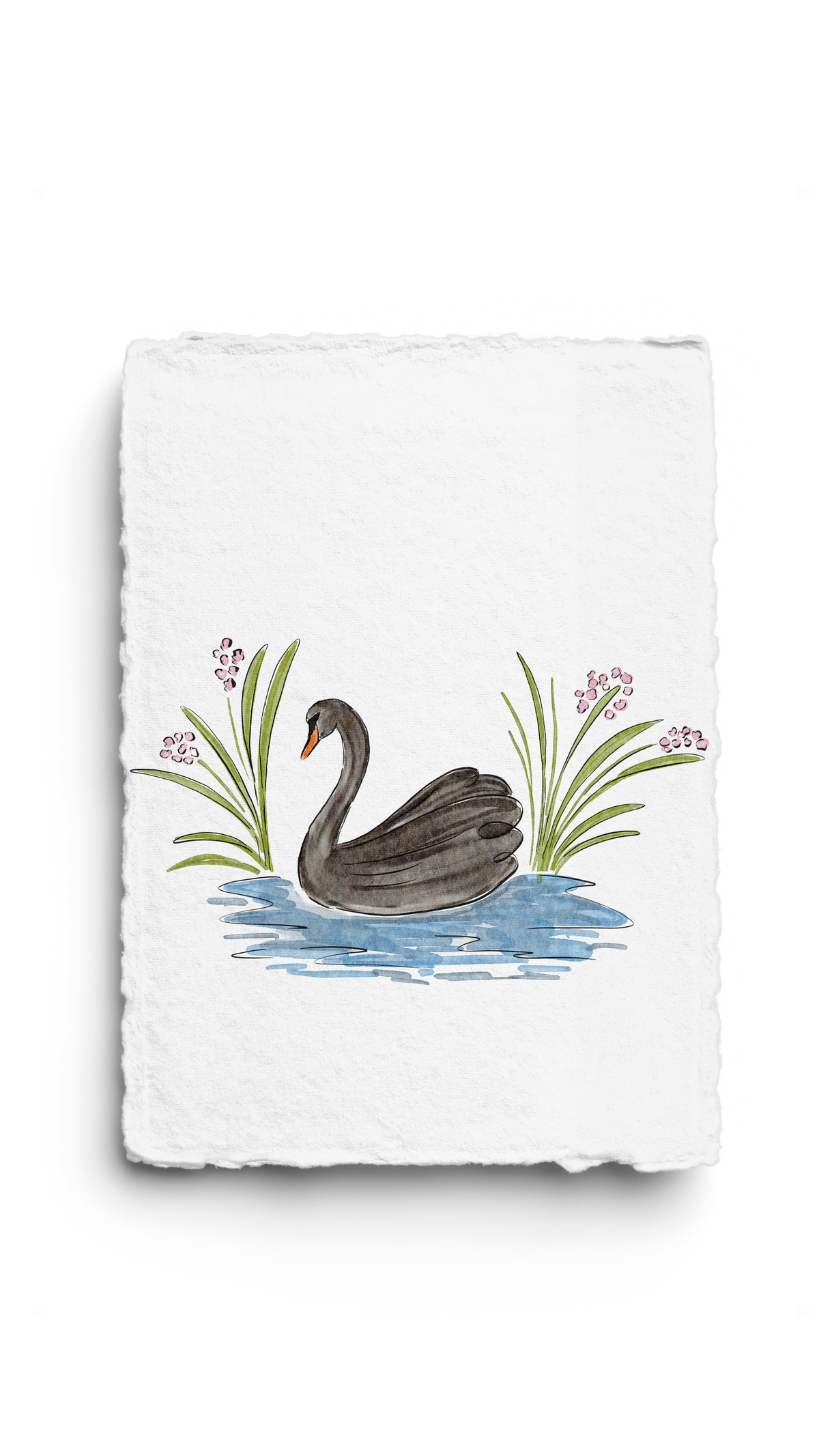 Love Letter · Swan Edition